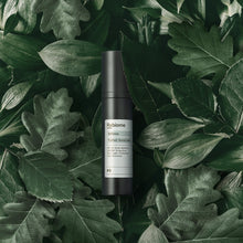 Lade das Bild in den Galerie-Viewer, Product shot of ReFence – Tinted Sunscreen SFP 30 on different leafs
